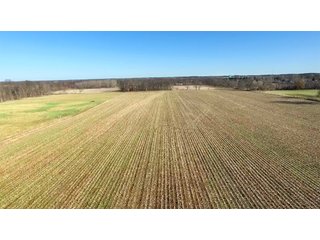 Property photo 2 - REAL ESTATE AUCTION - 100+/- ACRES IN 5 TRACTS IN NOBLE COUNTY, INDIANA